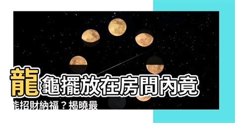 龍龜擺放臥室|龍龜可以放房間嗎？ 風水專家教你擺放臥室龍龜的秘訣